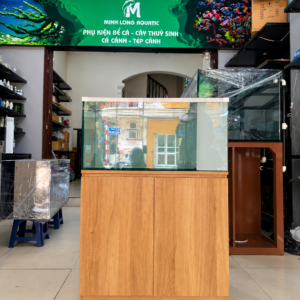 Bể Lọc Vách Bên Hồi – Giải Pháp Lọc Gọn, Đẹp Cho Bể Cá